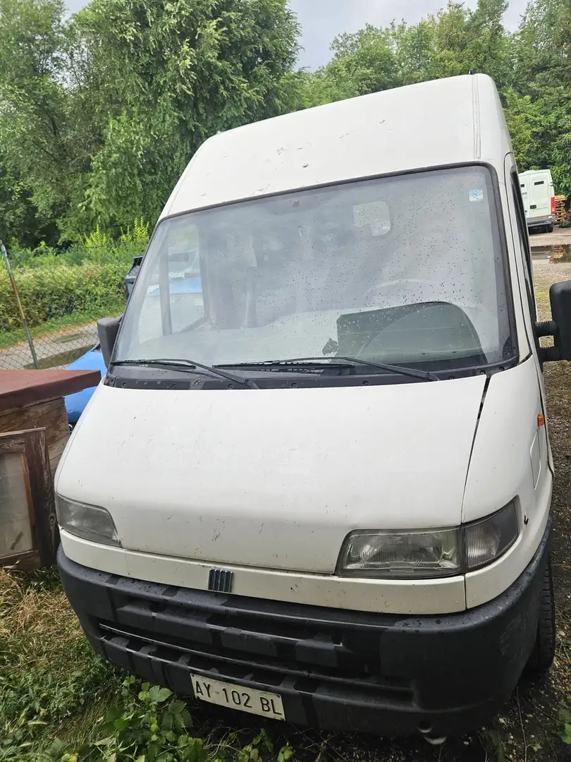 Fiat DUCATO Wit - 2