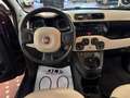 Fiat Panda Panda 1.2 Easy Violett - thumbnail 7