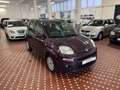 Fiat Panda Panda 1.2 Easy Violett - thumbnail 3
