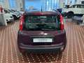 Fiat Panda Panda 1.2 Easy Violett - thumbnail 5