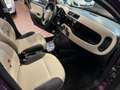 Fiat Panda Panda 1.2 Easy Violett - thumbnail 13
