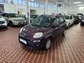Fiat Panda Panda 1.2 Easy Violett - thumbnail 1