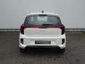 Kia Picanto 1.0 GDI 4-zits DynamicLine | NIEUW TE BESTELLEN! Wit - thumbnail 6