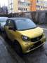smart forTwo smart fortwo coupe twinamic passion Or - thumbnail 4