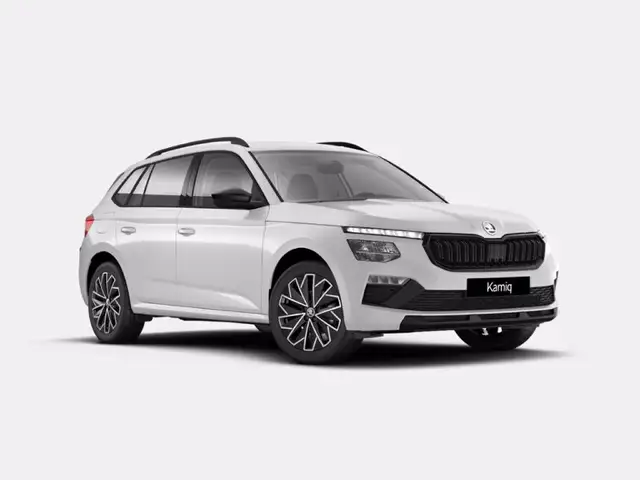 Skoda Kamiq 1.0 tsi black dots 115cv dsg