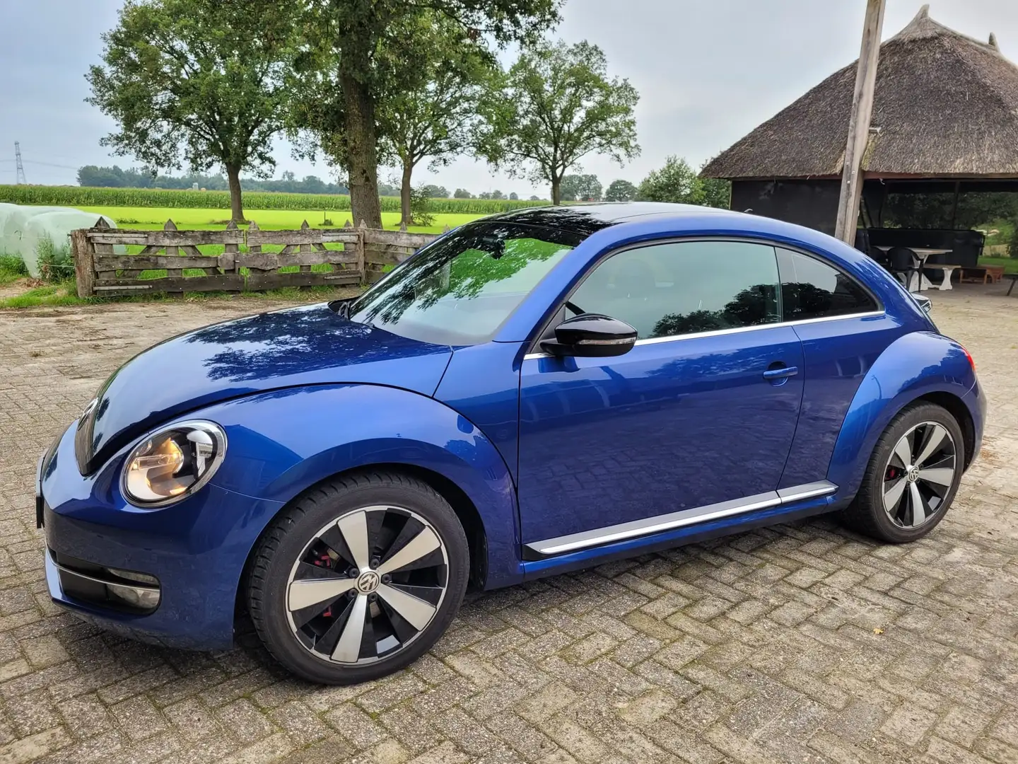 Volkswagen Beetle Beetle 2.0 TSI Sport Blu/Azzurro - 1