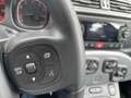 Fiat Panda 1.2 Lounge  5 zit plaatsen Grijs - thumbnail 8
