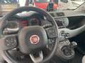 Fiat Panda 1.2 Lounge  5 zit plaatsen Grijs - thumbnail 6