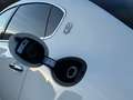 Maserati Quattroporte Diesel *TOP ZUSTAND* Weiß - thumbnail 10
