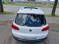 Volkswagen Tiguan 2,0 TDI BMT 4Motion  / Panoramadach/Neues Pickerl Blanc - thumbnail 11