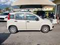 Fiat Panda Panda III 2012 1.2 Easy 69cv E6 Beige - thumbnail 3