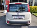 Fiat Panda Panda III 2012 1.2 Easy 69cv E6 Beige - thumbnail 2
