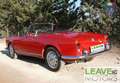 Alfa Romeo Giulia Alfa Giulia 1600 Spider (M1383) Rosso - thumbnail 7
