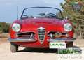 Alfa Romeo Giulia Alfa Giulia 1600 Spider (M1383) Rosso - thumbnail 2