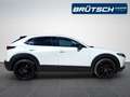 Mazda CX-30 Homura 2.0 M-Hybrid 2WD KLIMA / KAMERA360 / BOSE / Белый - thumbnail 8