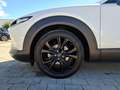 Mazda CX-30 Homura 2.0 M-Hybrid 2WD KLIMA / KAMERA360 / BOSE / Weiß - thumbnail 18