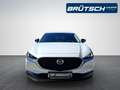 Mazda CX-30 Homura 2.0 M-Hybrid 2WD KLIMA / KAMERA360 / BOSE / Белый - thumbnail 5