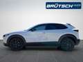 Mazda CX-30 Homura 2.0 M-Hybrid 2WD KLIMA / KAMERA360 / BOSE / Белый - thumbnail 7