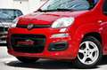 Fiat Panda My Panda / Klima / 1. Hand Renter Rot - thumbnail 30