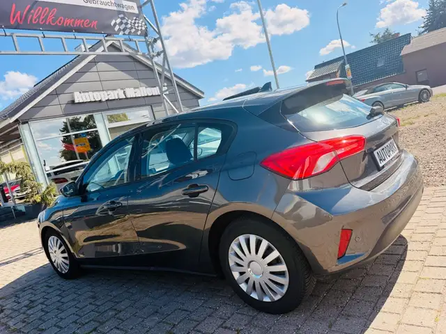 Ford Focus view 5