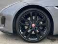Jaguar F-Type Coupe P300 R-Dynamic PANORAMA DAB 20 SITZE Grau - thumbnail 9