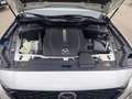 Mazda CX-60 2.5 Homura Allrad PHEV Vollausstattung HUD El. Pan Weiß - thumbnail 14