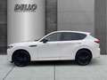 Mazda CX-60 2.5 Homura Allrad PHEV Vollausstattung HUD El. Pan Weiß - thumbnail 2