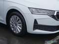 Skoda Octavia Combi 1.5 TSI Essence AHK Smart Link Weiß - thumbnail 10