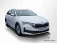 Skoda Octavia Combi 1.5 TSI Essence AHK Smart Link Weiß - thumbnail 2