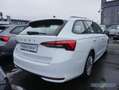 Skoda Octavia Combi 1.5 TSI Essence AHK Smart Link Weiß - thumbnail 3