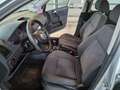Volkswagen Polo POLO X del 2005, 5 porte 1.4 TDI Grigio - thumbnail 6