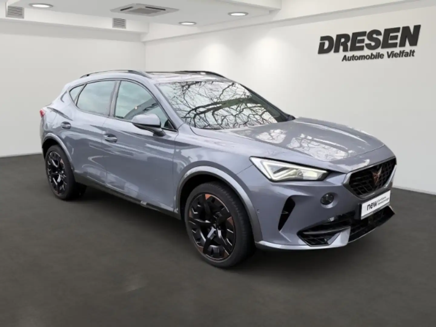 CUPRA Formentor CUPRA VZ BOSE KLIMA ALLRAD Grau - 2