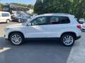 Volkswagen Tiguan 2.0 TDI Life Pano PDC AHK Sitzheizung 1Hd Weiß - thumbnail 8
