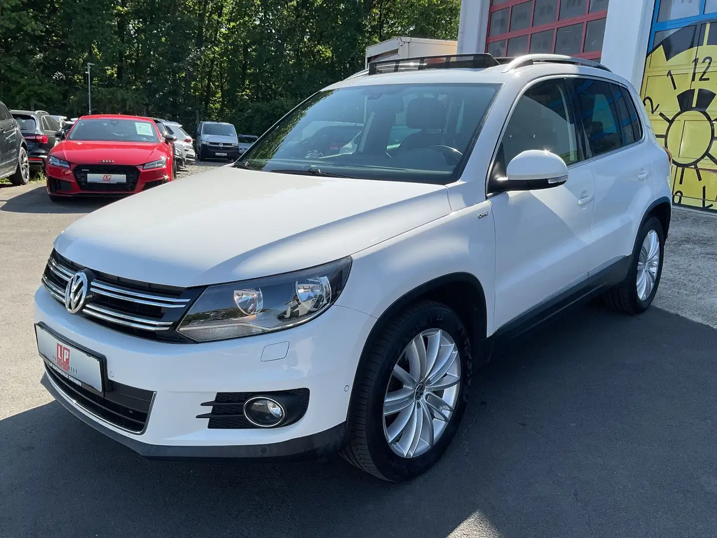 Volkswagen Tiguan 2.0 TDI Life Pano PDC AHK Sitzheizung 1Hd Weiß - 1