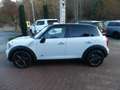 MINI Cooper Countryman*All4*Aut*Leder*Navi*Xenon*Pano Weiß - thumbnail 8