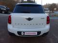 MINI Cooper Countryman*All4*Aut*Leder*Navi*Xenon*Pano Weiß - thumbnail 6