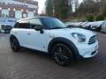 MINI Cooper Countryman*All4*Aut*Leder*Navi*Xenon*Pano Weiß - thumbnail 3