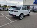 Land Rover Discovery Sport Discovery Sport 2.0D TD4 MHEV SE AWD Auto 163 SE Blanco - thumbnail 4