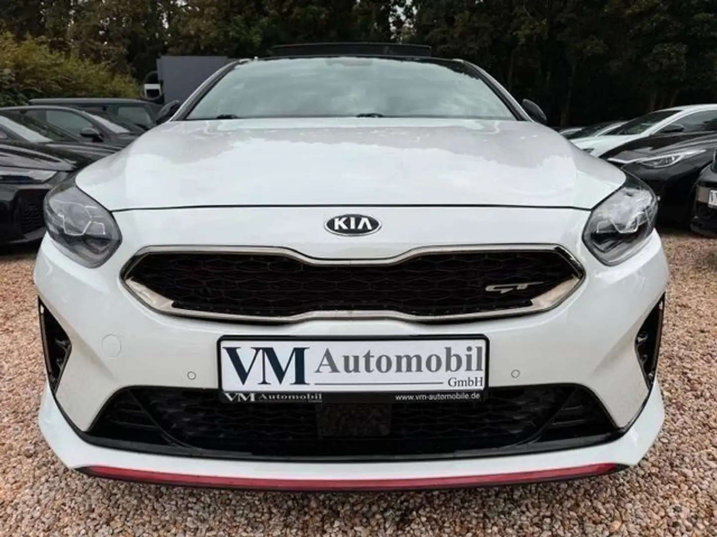 Kia ProCeed / pro_cee'd ProCeed GT JBL*Memory*ACC*Kamera*Pano Weiß - 2