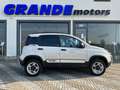 Fiat Panda Panda III 2021 4x4 Cross 0.9 t.air t. 4x40 4x4 s Bianco - thumbnail 3