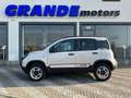 Fiat Panda Panda III 2021 4x4 Cross 0.9 t.air t. 4x40 4x4 s Bianco - thumbnail 4