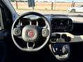 Fiat Panda Panda III 2021 4x4 Cross 0.9 t.air t. 4x40 4x4 s Bianco - thumbnail 8