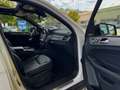 Mercedes-Benz GLS 350 d AMG/4MATIC/PANO/360/DISTRONIC/StandHZG Weiß - thumbnail 12