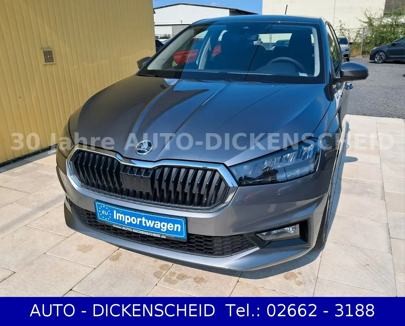 Skoda Fabia 130 YEARS-LED-ALU-SHZ-KLIMA-TOP Selection Grau - 2