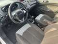 Ford EcoSport 1.0 ECOBOOST 125 CV TITANIUM Bianco - thumbnail 11