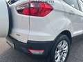 Ford EcoSport 1.0 ECOBOOST 125 CV TITANIUM Bianco - thumbnail 7