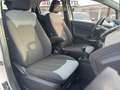 Ford EcoSport 1.0 ECOBOOST 125 CV TITANIUM Bianco - thumbnail 14