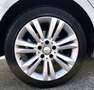 Mercedes-Benz B 180 cdi Executive auto - thumbnail 13