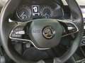 Skoda Kamiq Kamiq 1.0 tsi Ambition 95cv Gris - thumbnail 23