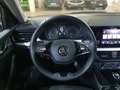 Skoda Kamiq Kamiq 1.0 tsi Ambition 95cv Gris - thumbnail 21